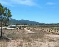 Nueva construcción  - Chalet - Cañada de la Leña