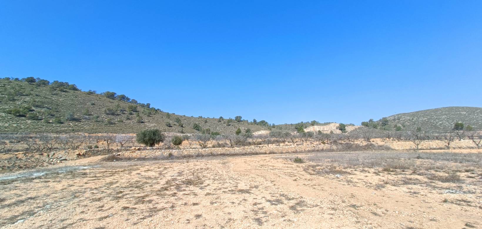 Nueva construcción  - Chalet - Cañada de la Leña