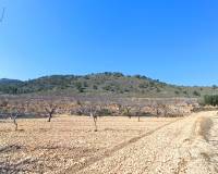 Nueva construcción  - Chalet - Cañada de la Leña