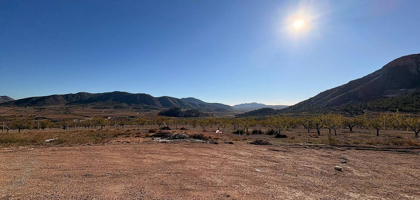 Nueva construcción  - Chalet - El Cantón