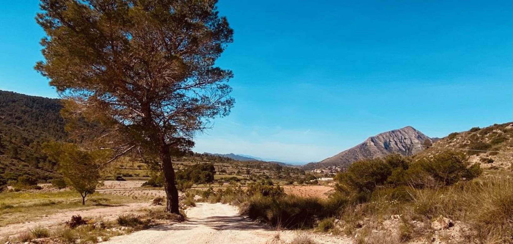 Nueva construcción  - Chalet - Hondón de las Nieves