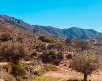 Nueva construcción  - Chalet - Hondón de las Nieves