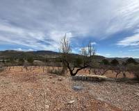 Nueva construcción  - Chalet - La Romana