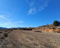 Nueva construcción  - Chalet - La Romana