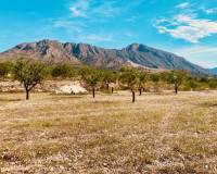 Nueva construcción  - Chalet - Macisvenda