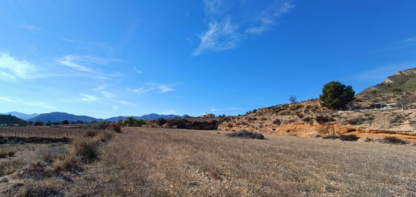 Nueva construcción  - Chalet - Novelda