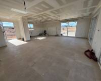 Nueva construcción  - Chalet - Pinoso