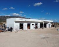 Nueva construcción  - Chalet - Pinoso