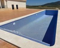 Nueva construcción  - Chalet - Pinoso