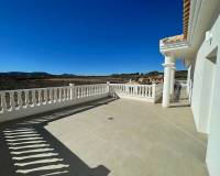 Nueva construcción  - Chalet - Pinoso