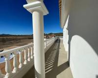 Nueva construcción  - Chalet - Pinoso