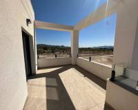 Nueva construcción  - Chalet - Pinoso