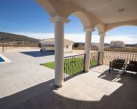 Nueva construcción  - Chalet - Pinoso