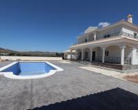 Nueva construcción  - Chalet - Pinoso