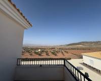 Nueva construcción  - Chalet - Pinoso