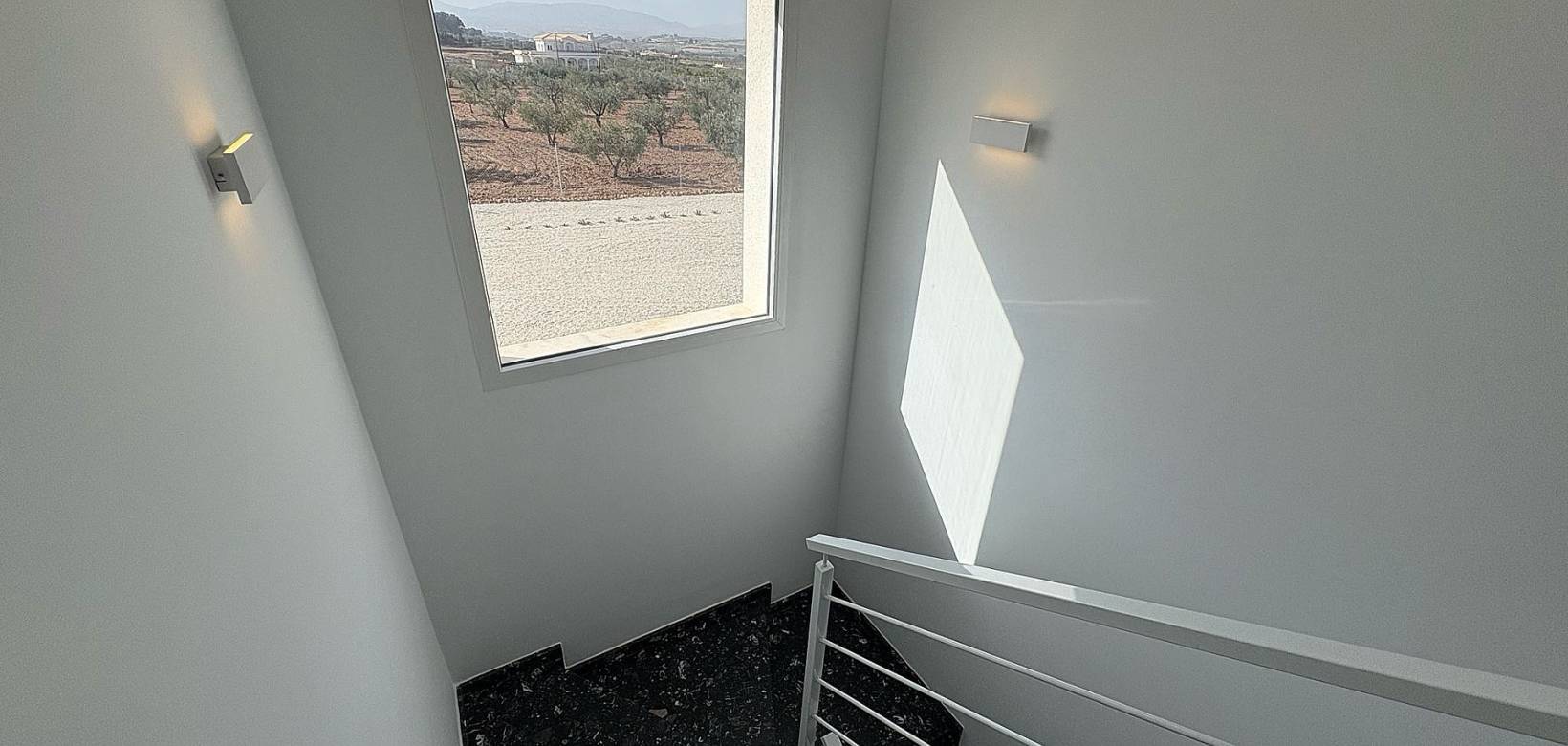 Nueva construcción  - Chalet - Pinoso