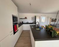 Nueva construcción  - Chalet - Pinoso