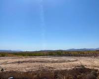 Nueva construcción  - Chalet - Pinoso