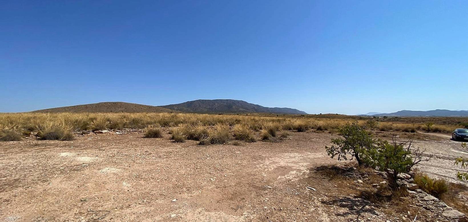 Nueva construcción  - Chalet - Pinoso