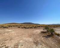 Nueva construcción  - Chalet - Pinoso