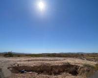 Nueva construcción  - Chalet - Pinoso