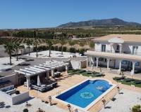 Nueva construcción  - Chalet - Pinoso