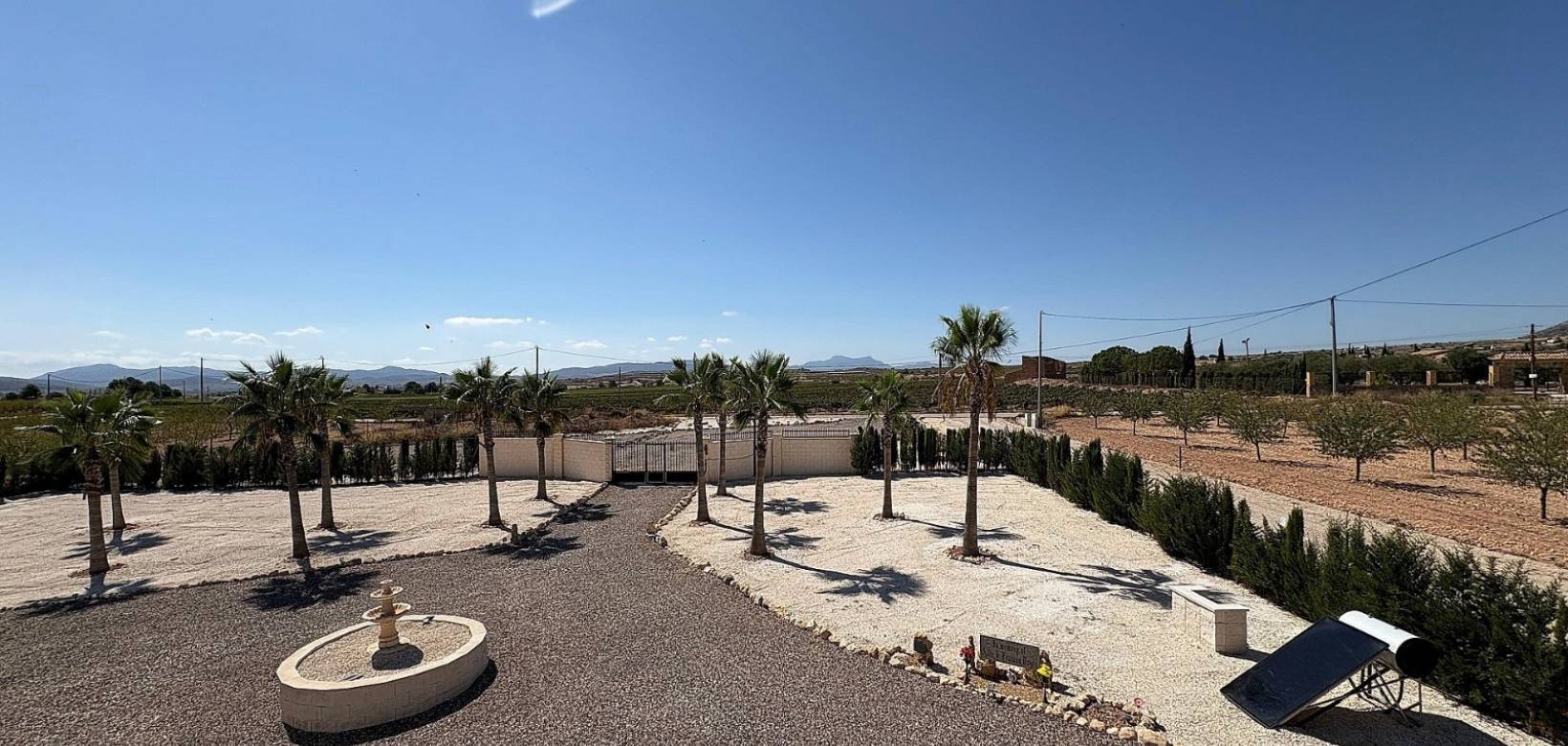 Nueva construcción  - Chalet - Pinoso