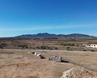 Nueva construcción  - Chalet - Pinoso