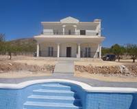 Nueva construcción  - Chalet - Pinoso