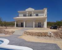 Nueva construcción  - Chalet - Pinoso