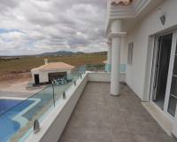 Nueva construcción  - Chalet - Pinoso