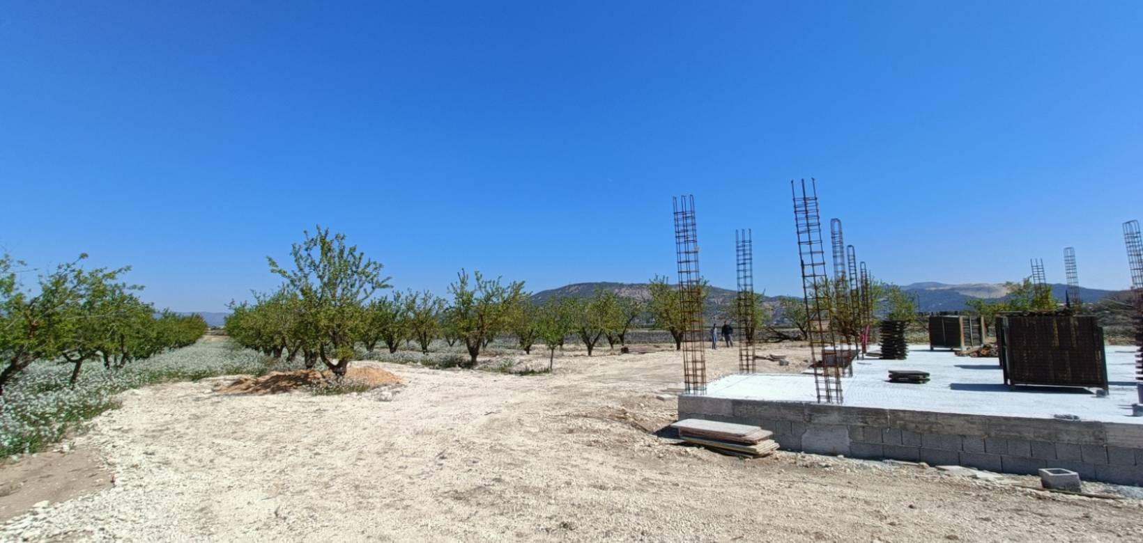 Nueva construcción  - Chalet - Pinoso