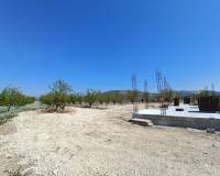 Nueva construcción  - Chalet - Pinoso