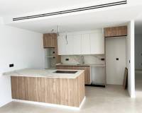 Nueva construcción  - Villa - Aspe