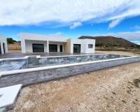 Nueva construcción  - Villa - Aspe