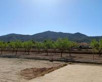 Nueva construcción  - Villa - Hondón de los Frailes