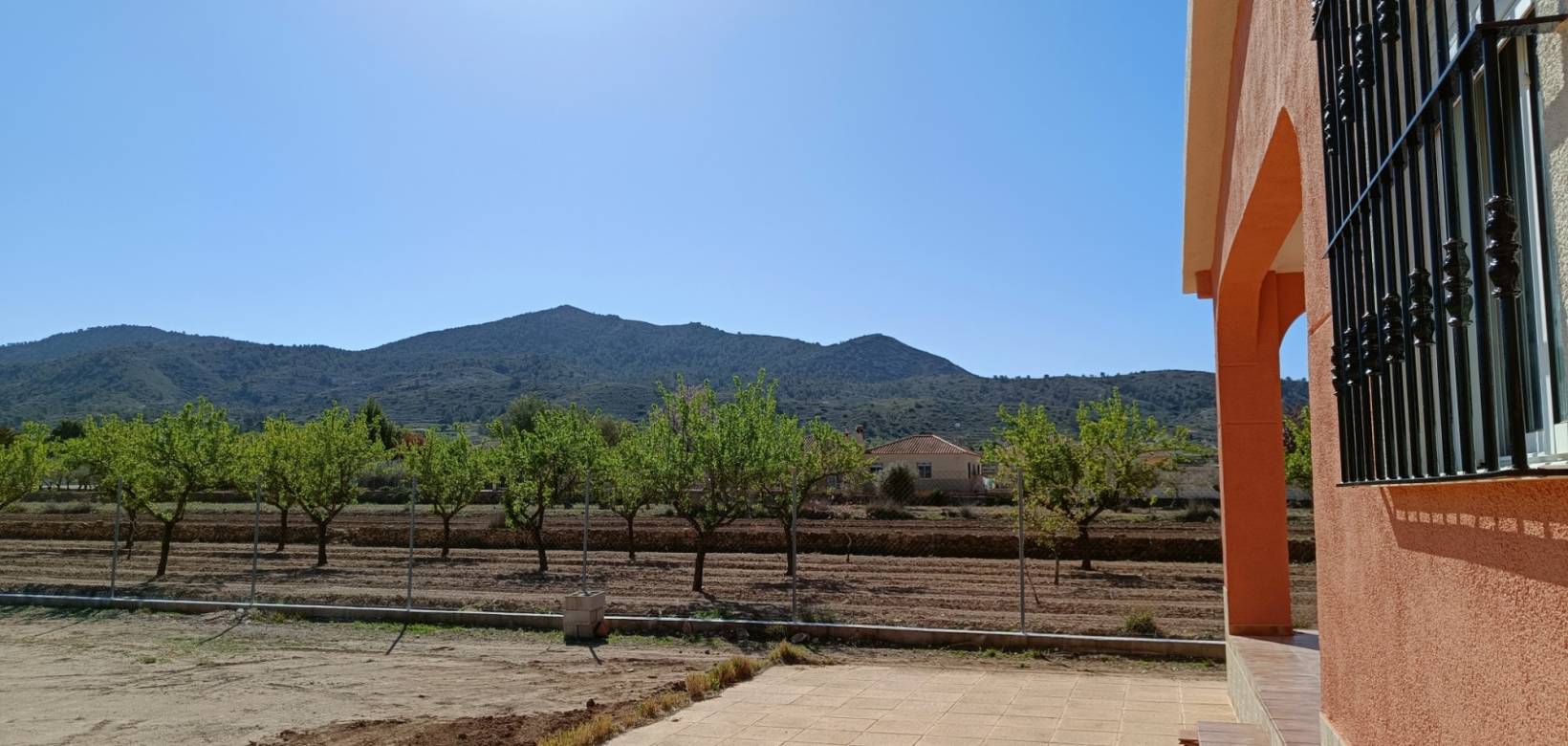 Nueva construcción  - Villa - Hondón de los Frailes