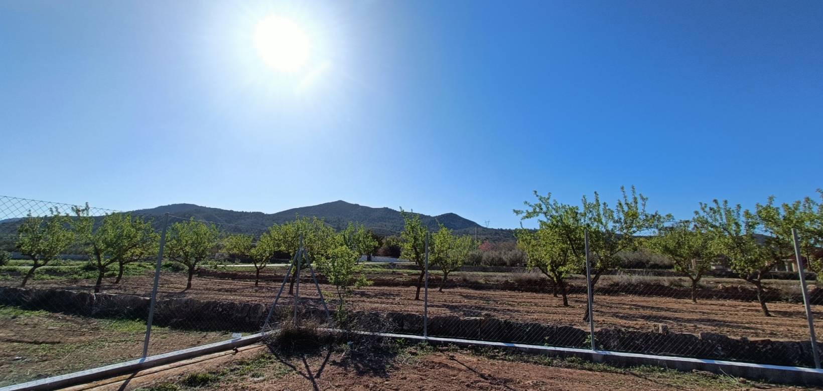 Nueva construcción  - Villa - Hondón de los Frailes
