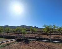 Nueva construcción  - Villa - Hondón de los Frailes