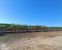 Nueva construcción  - Villa - Hondón de los Frailes