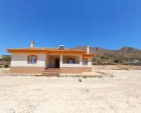 Nueva construcción  - Villa - Macisvenda