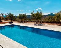 Nueva construcción  - Villa - Macisvenda
