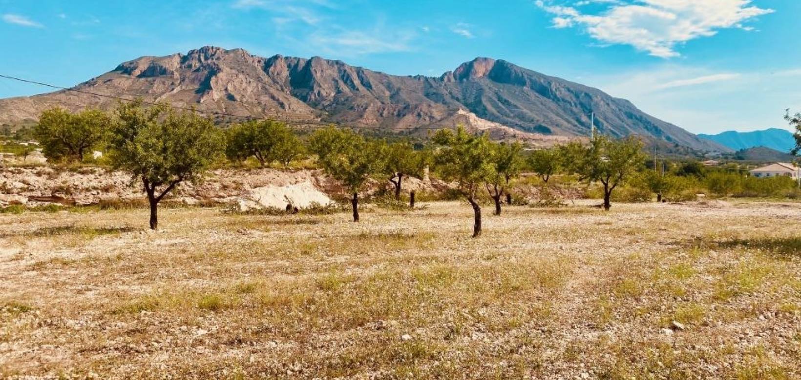 Nueva construcción  - Villa - Macisvenda