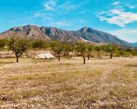 Nueva construcción  - Villa - Macisvenda