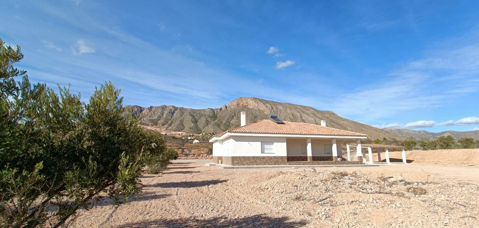 Nueva construcción  - Villa - Macisvenda