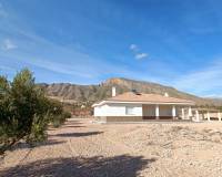 Nueva construcción  - Villa - Macisvenda