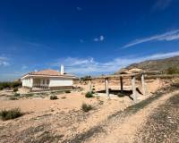 Nueva construcción  - Villa - Macisvenda