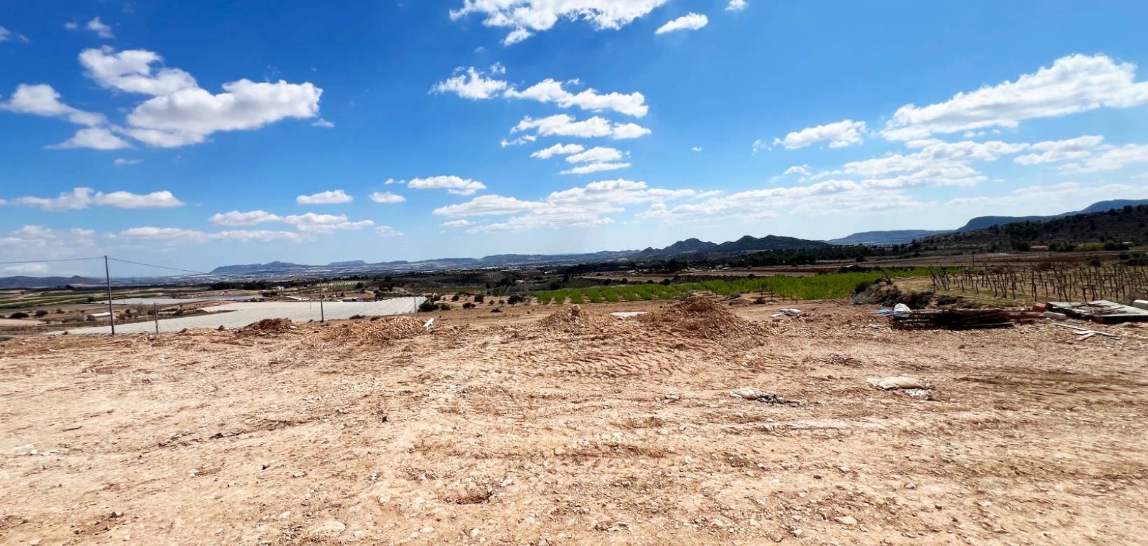 Nueva construcción  - Villa - Novelda