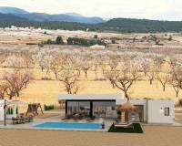Nueva construcción  - Villa - Pinoso