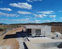 Nueva construcción  - Villa - Pinoso